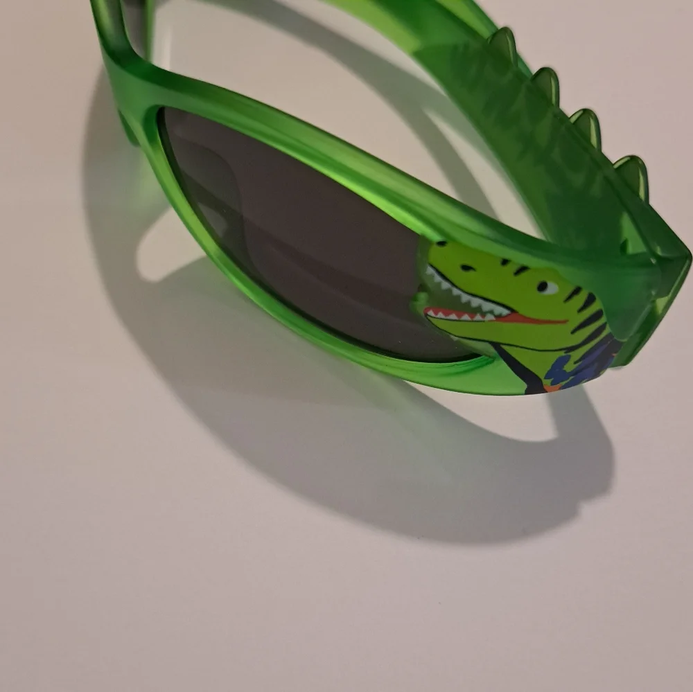 Green Dinosaur Boy's Sunglasses